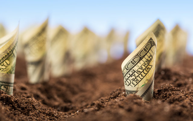 American dollars grow from the ground