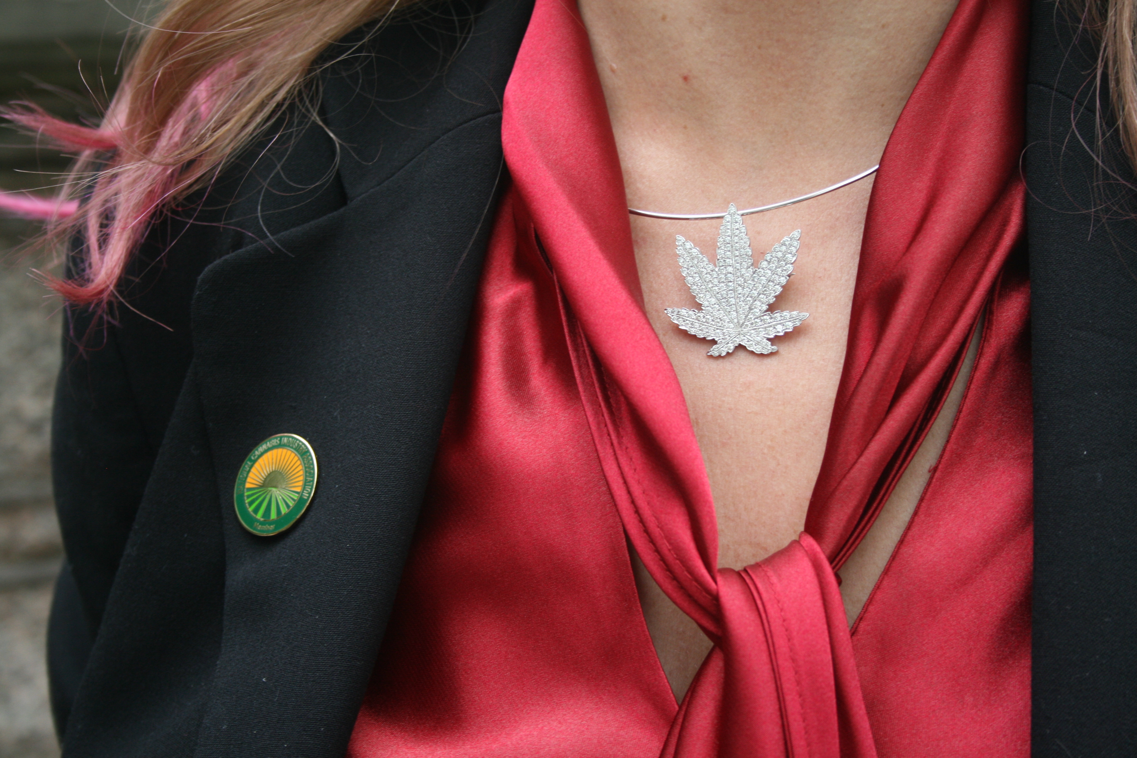 cannabis-business-leaders-fly-into-washington-dc-for-lobby-days