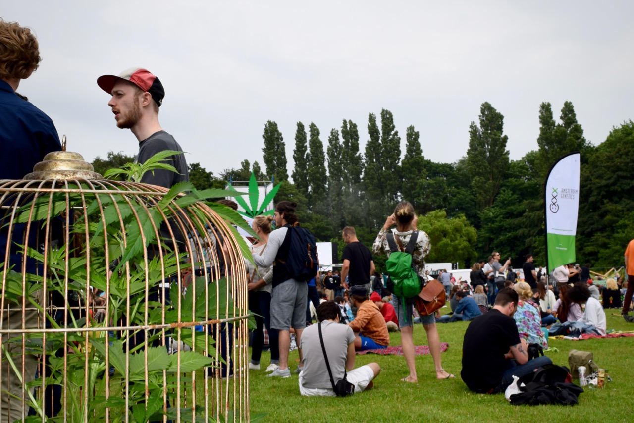 cannabis-liberation-day-in-amsterdam-2016