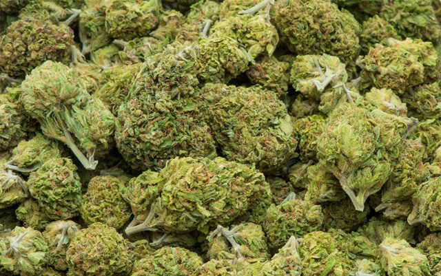 colorado-legal-cannabis-sales-set-record-in-april