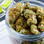 cannabis-as-a-treatment-for-overactive-bladder-and-continence