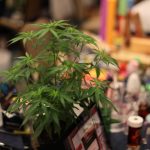 DC-style-on-display-at-BUD-summit-IMG-03