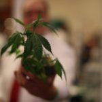 DC-style-on-display-at-BUD-summit-IMG-11