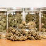 montanas-medical-marijuana-initiative-could-accidentally-delay-patient-relief