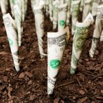 private-equity-firms-help-fund-the-growing-cannabis-industry