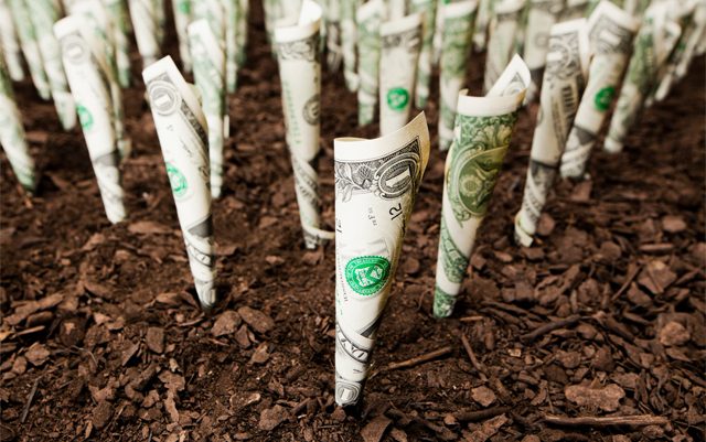 private-equity-firms-help-fund-the-growing-cannabis-industry
