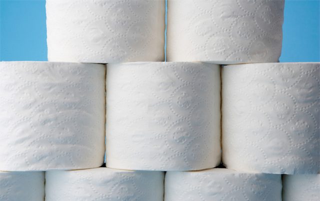 why-hemp-makes-better-toilet-paper