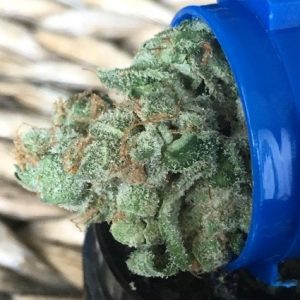 Figure 1. Lemon Cookies, Abatin Wellness. Image Courtesy of: Joe Tierney, The Gentleman Toker