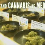 green-flower-media-understanding-cannabis-as-medicine