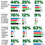 kiwis-views-on-cannbis-poll
