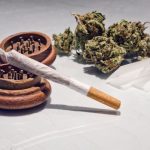 illegal-patient-profiles-finding-cannabis-late-in-life