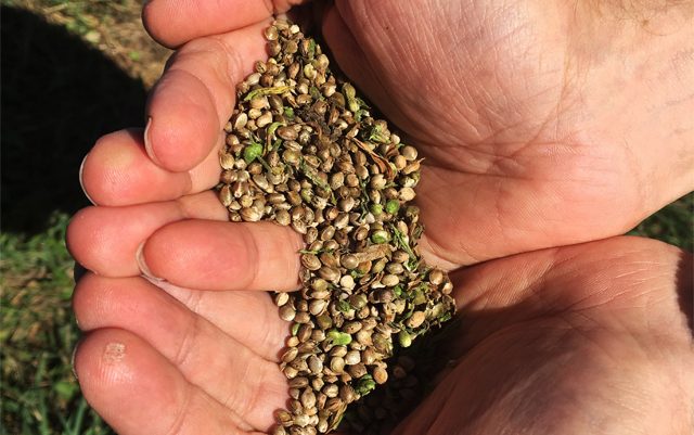 zoning-permit-approved-for-north-carolinas-first-hemp-food-processing-plant