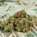 alaska-navigates-the-murky-waters-of-collecting-cannabis-taxes