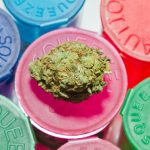 marijuana-legalization-too-little-too-late-for-many