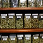 michigan-dispensary-raids-will-continue-until-laws-change