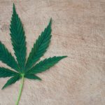 no-matter-what-the-gray-market-for-marijuana-will-continue