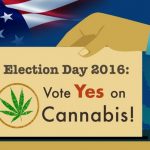 pro-pot-instagrammers-post-to-spark-the-vote