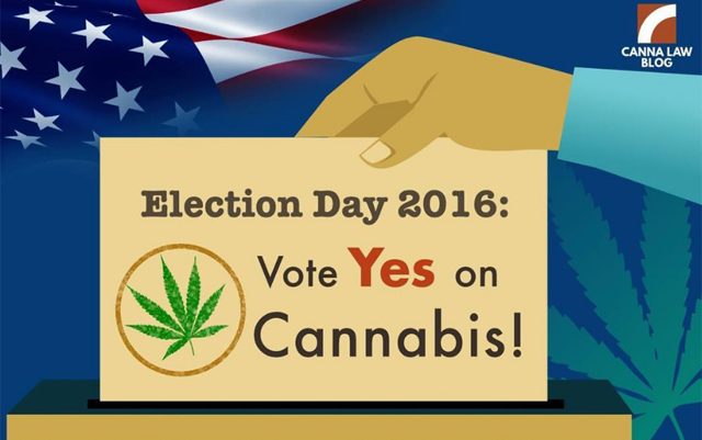 pro-pot-instagrammers-post-to-spark-the-vote
