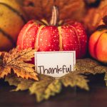 the-cannabis-community-has-alot-to-be-thankful-for-this-year