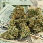 cannabis-sales-in-colorado-soar-to-new-heights