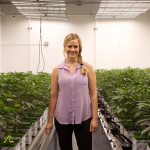 how-outcos-fully-automated-greenhouse-will-improve-cannabis-cultivation