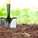 why-hemp-mulch-is-better-for-vegetable-gardens