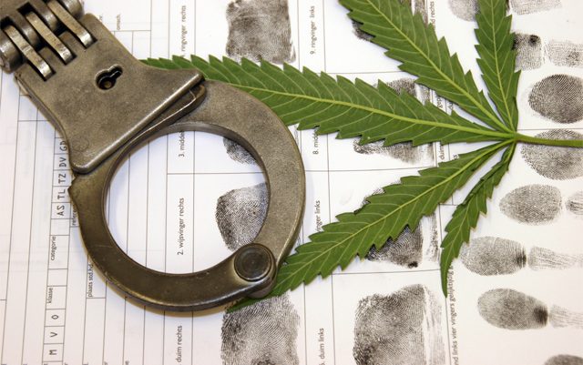 FL-senate-committee-to-consider-cannabis-decrim-bill