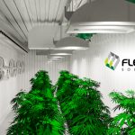 flexMOD-solutions-launches-cultivationMODs-cannabis-growing-container