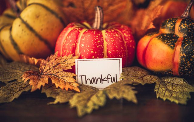 5-things-the-cannabis-industry-can-be-thankful-for