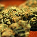 utah-police-give-presentation-on-ills-of-marijuana