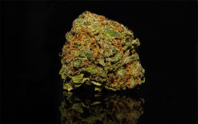 crystal-coma-strain-review