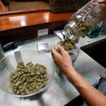 legal-cannabis-sales-could-surpass-soda-by-2030