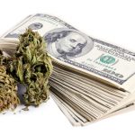 senators-vote-against-amendment-allowing-cannabis-businesses-to-open-bank-accounts