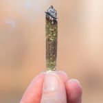 recent-study-shows-no-link-between-cannabis-decriminalization-and-increased-youth-consumption
