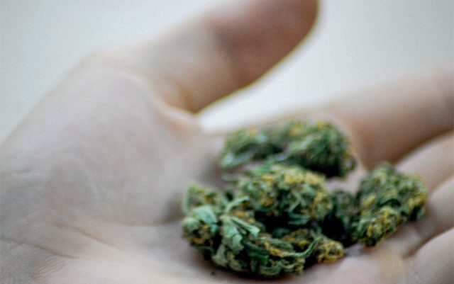 new-bill-would-end-job-discrimination-against-cannabis-users