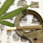 specific-DC-marijuana-arrests-on-the-rise-despite-legalization