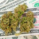 state-officials-are-pushing-for-federal-banking-protection-for-cannabis-cash-overflow
