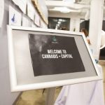 NYCs-cannabis-networking-continues-to-grow-like-the-industry-img-4
