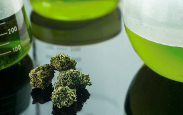 big-pharmaceutical-company-going-all-in-on-cannabis