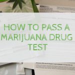 how-to-pass-a-marijuana-drug-test-420-times