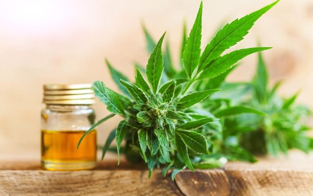 6-essential-CBD-health-benefits-you-might-not-be-aware-of