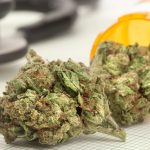 NJ-court-rules-MMJ-patients-cant-be-fired-for-failed-drug-tests