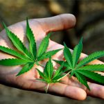 can-federal-marijuana-law-reform-live-up-to-the-hype