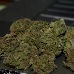 whats-wrong-with-the-california-recreational-marijuana-market