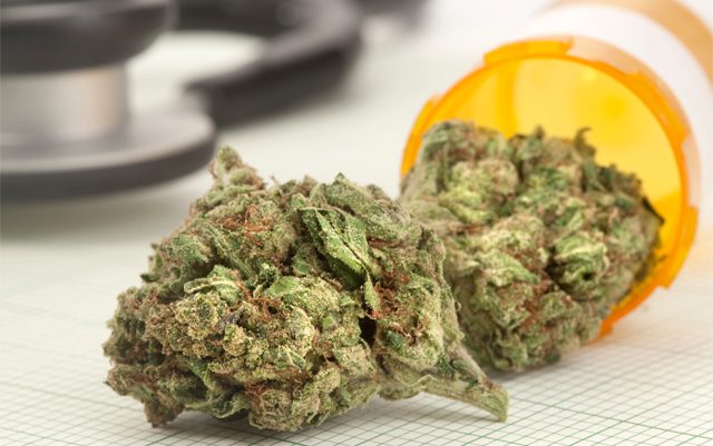large-scale-medical-cannabis-initiative-launched-in-UK