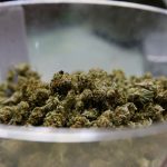lawmakers-say-DEA-should-allow-researchers-access-to-state-legal-cannabis
