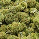 most-kentuckians-now-support-marijuana-legalization