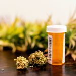 is-cannabis-the-best-medicine-for-pain