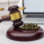 Cannabis-Law – Manshoory Law