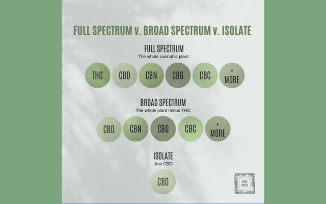 photo of CBD Isolate vs Broad Spectrum CBD vs Full Spectrum CBD: Which is Best for You? image